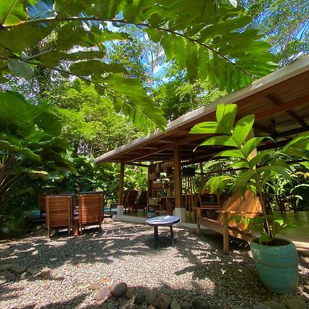 Satta Lodge (Adults Only) Puerto Viejo de Talamanca Dış mekan fotoğraf
