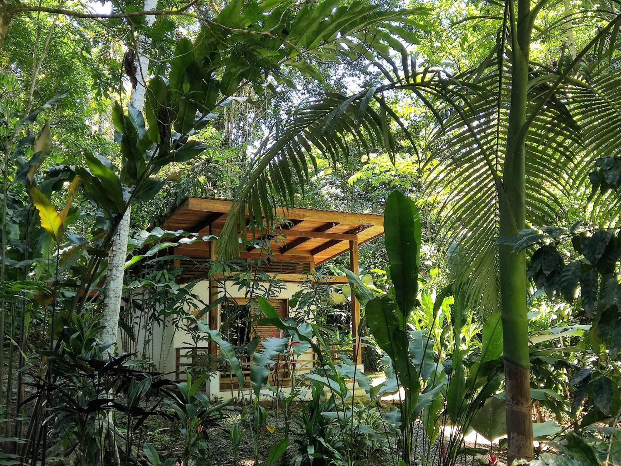 Satta Lodge (Adults Only) Puerto Viejo de Talamanca Oda fotoğraf