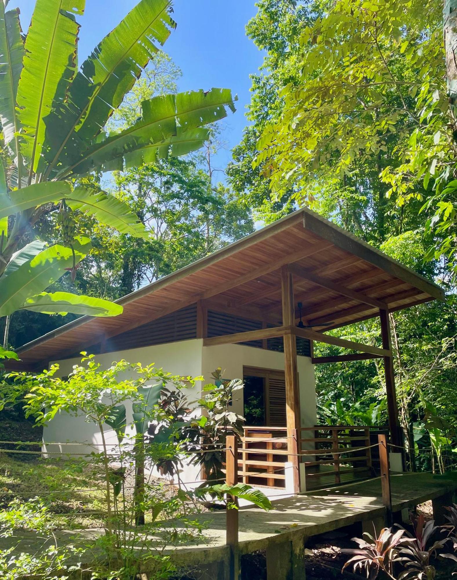 Satta Lodge (Adults Only) Puerto Viejo de Talamanca Dış mekan fotoğraf