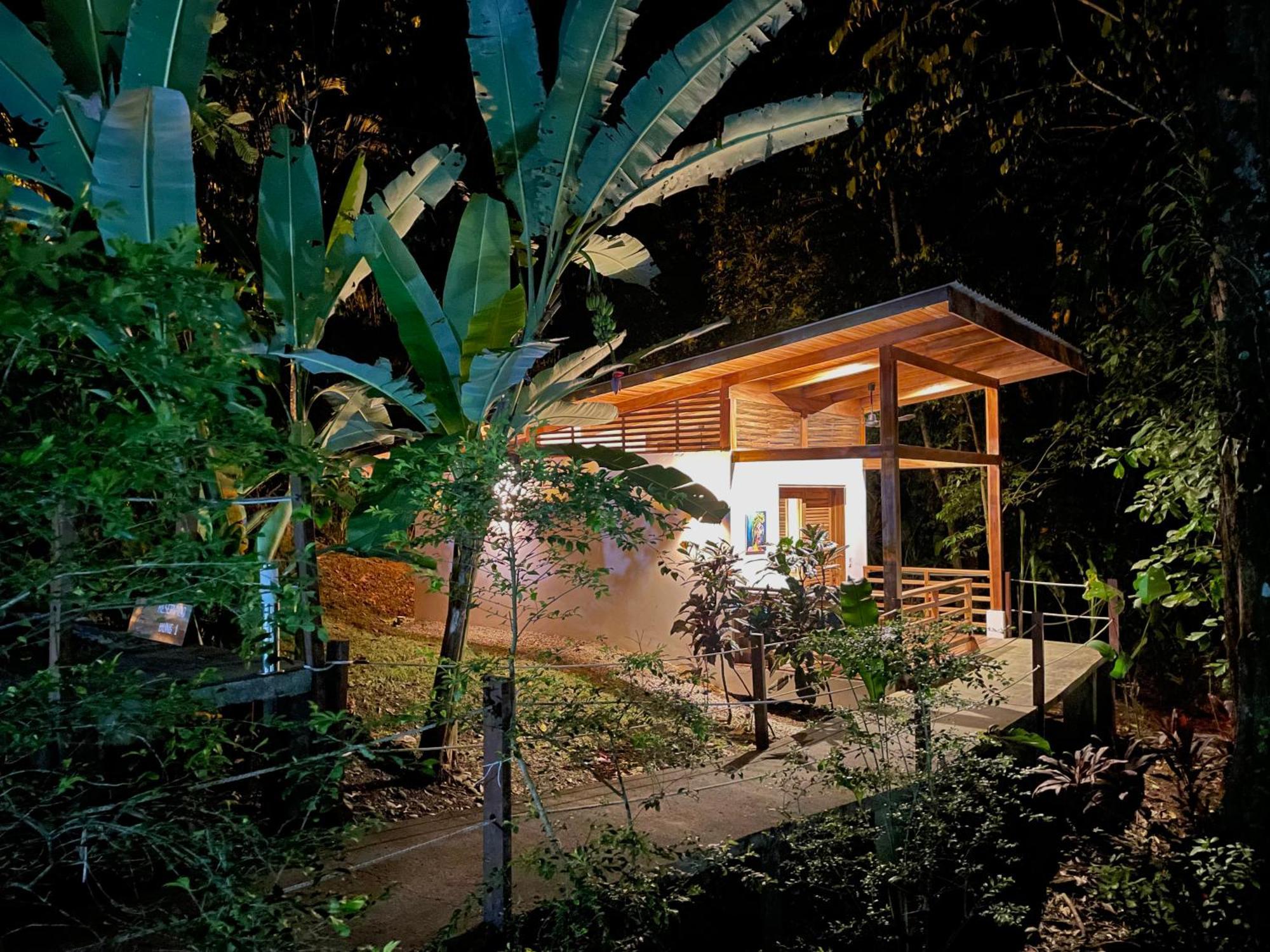 Satta Lodge (Adults Only) Puerto Viejo de Talamanca Dış mekan fotoğraf
