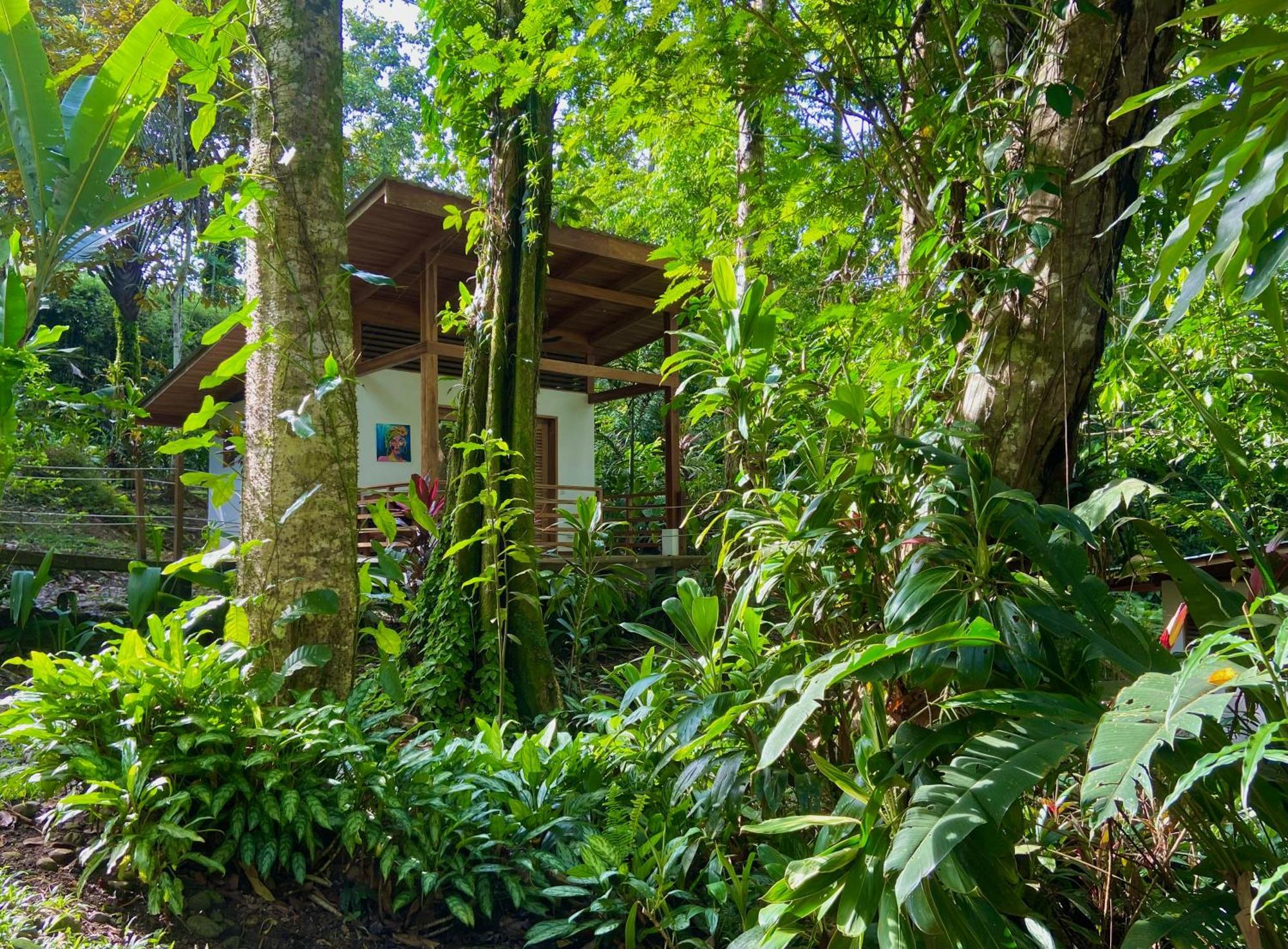 Satta Lodge (Adults Only) Puerto Viejo de Talamanca Dış mekan fotoğraf